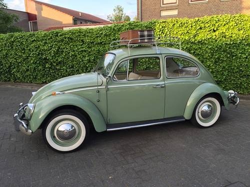 1966 VW Beetle In vendita