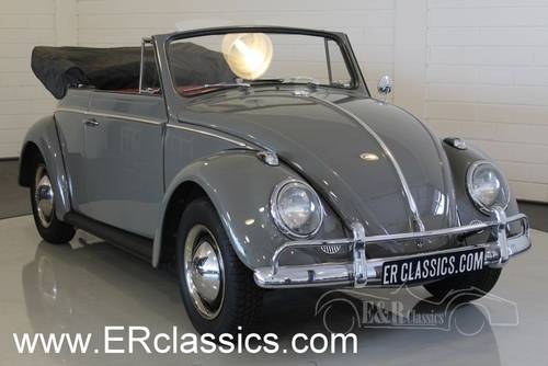 VW beetle cabriolet 1963 fully restored For Sale