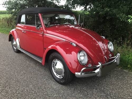 Bug convertable 1964 like new For Sale