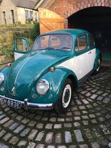 Beautiful 1967 fully restored beetle  VENDUTO