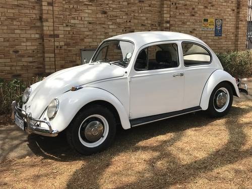 1967 Beetle For Sale