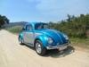1951 Volkswagen BEETLE Split-Window LHD For Sale
