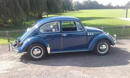 1967 VW Beetle For Sale