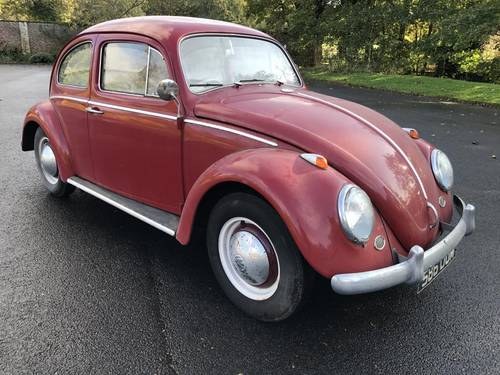 **DECEMBER ENTRY** 1962 Volkswagen Beetle In vendita all'asta