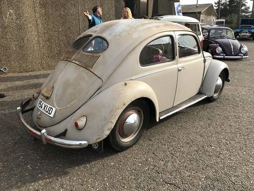 1951 split window beetle 58,000km totally original For Sale