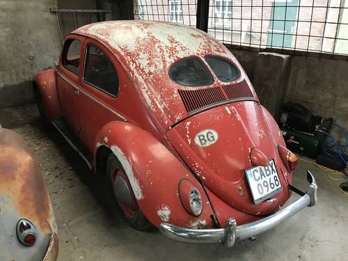 1952 split window beetle project For Sale