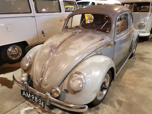 1955 Splitscreen Beetle, Brilkever, Bug, Splitbug, VW BUg VENDUTO