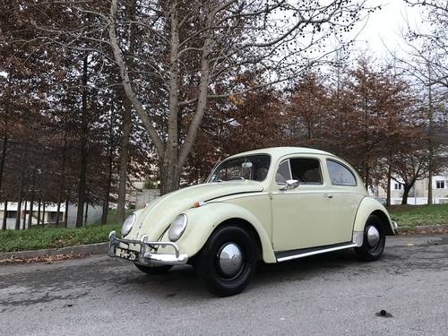 1958 Volkswagen 1/11 For Sale