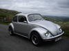 1982 Limited Edition Silverbug Beetle For Sale