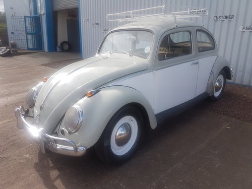 1961 VW Beetle For Sale