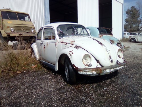 Vw Beetle For Sale