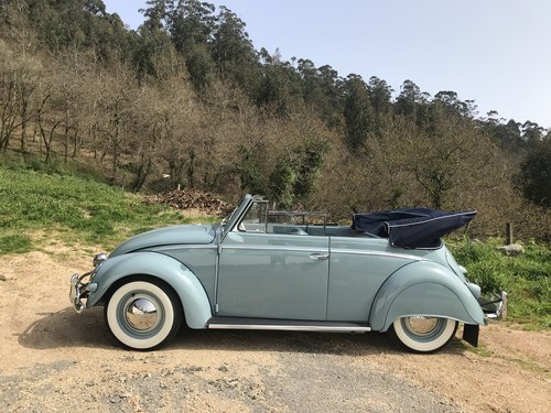 Vw beetle  oval cabrio 1956 100% restored In vendita