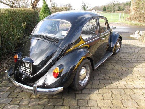 1967 VW rhd genuine iconic beetle sold!!! sold!!! VENDUTO