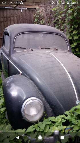1953 Vintage Beetle In vendita