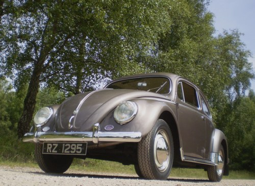 1954 Early Oval Beetle Kaufen Bei