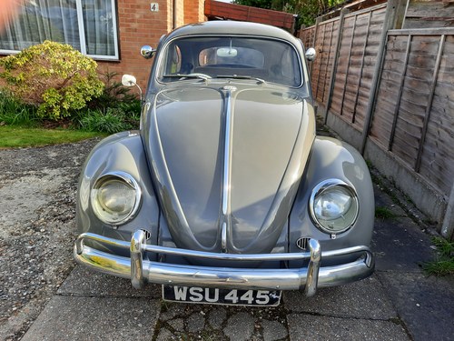 1962 Volkswagen Beetle  For Sale