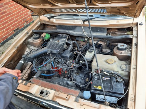 1982 Mk1 GL GOLF project For Sale