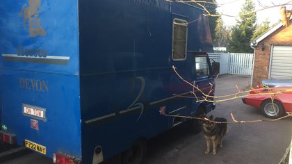 Horse box  partially converted to a camper