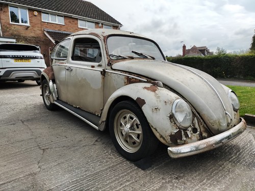 1964 VW Beetle - Rat Rusty Patina Galore ! For Sale
