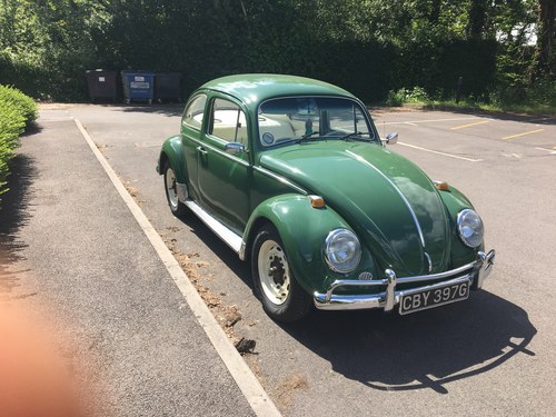 1969 VW Beetle For Sale