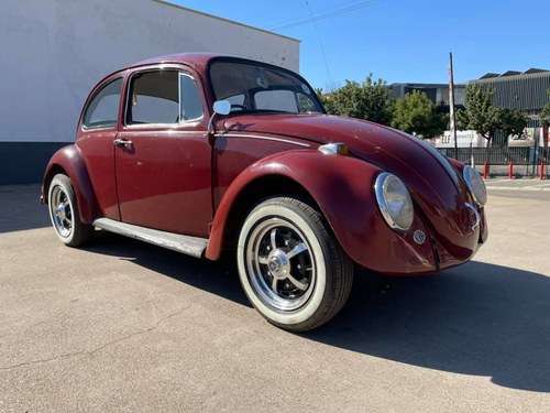 1967 Beetle Vw For Sale