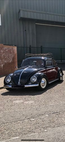 1955 VW OVAL BEETLE For Sale