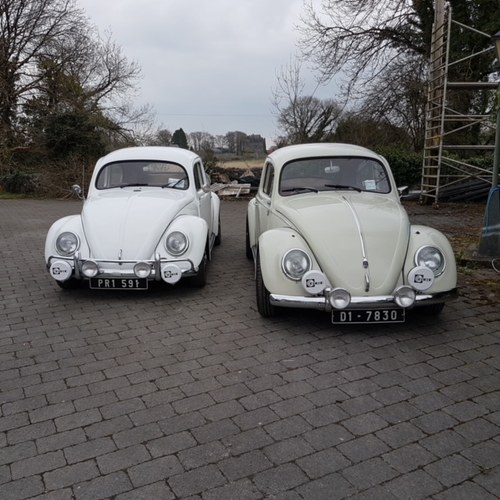 VW Oval 1955 For Sale