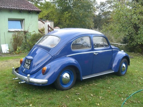 1964 Beetle 1200 For Sale