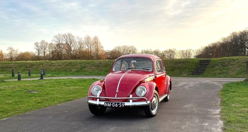 1966 Very charming restored Beetle 1300 In vendita