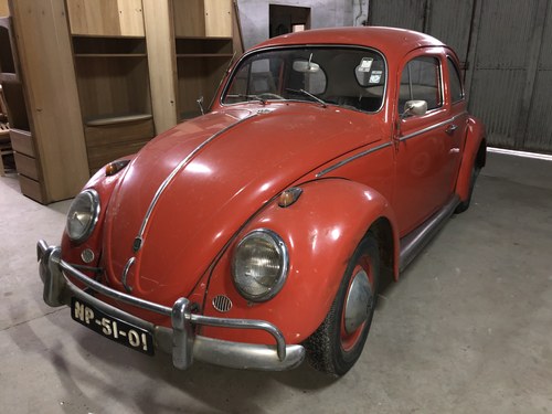 1962 Vw Beetle 1200 RHD In vendita