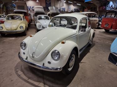 VW Kever, Volkswagen Beetlem VW Beetle, 1967 Beetle