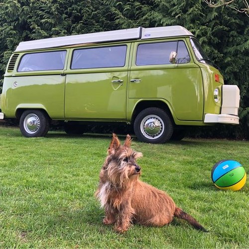 1976 Vw campervan westfalia berlin For Sale