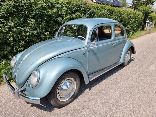 1956 Volkswagen Oval Window, VW Beetle, Volkswagen Ovalli , Ovali VERKAUFT
