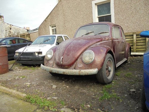1969 volkswagen beetle For Sale