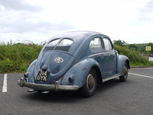1953 VW Beetle - splitwindow In vendita
