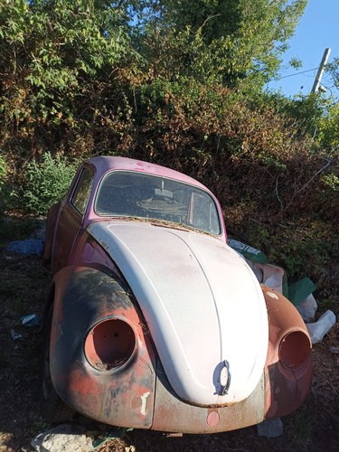 VW Beetle  1969  project. Or for parts For Sale