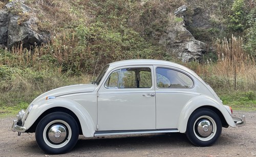 Incredible 1966 Volkswagen VW Beetle 1 Owner From New En Venta