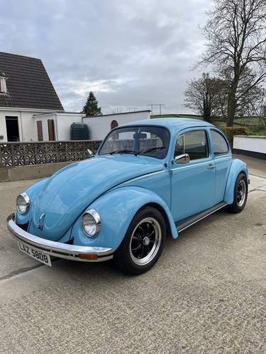 1981 Volkswagen Beetle For Sale