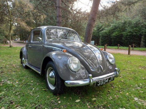 1964 Volkswagen Beetle In vendita