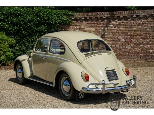 1964 Volkswagen Beetle - 2