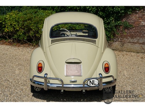 1964 Volkswagen Beetle - 5