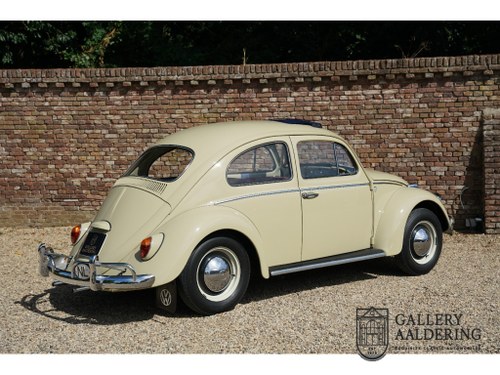 1964 Volkswagen Beetle - 6