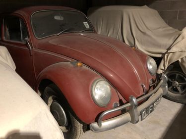 Picture of 1968 VW Beetle 09/03/2023