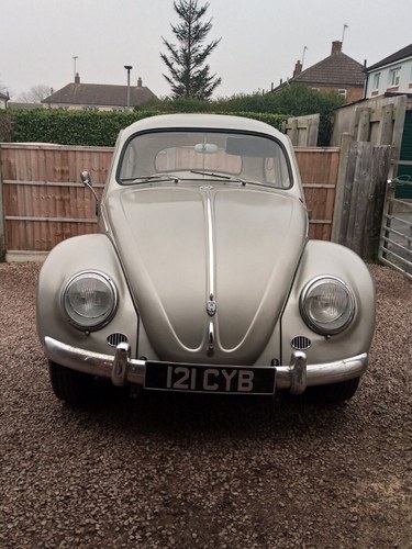 1958 VW Beetle 1st Owner 50 Years Off Road since 79 REDUCED For Sale