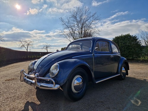 1953 Volkswagen Oval Beetle De Luxe LHD - Pending Sale VERKAUFT