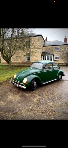 1965 Volkswagen Beetle In vendita