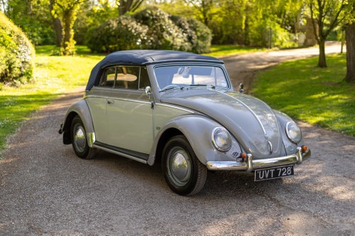 1954 Volkswagen Beetle Cabriolet For Sale by Auction
