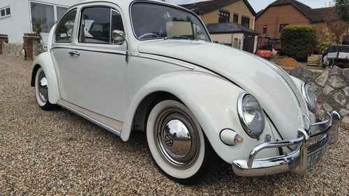 Picture of 1964 Volkswagen Beetle - For Sale