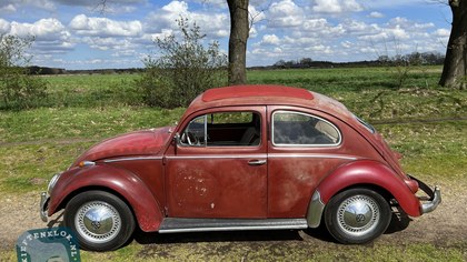 Volkswagen ragtop, Volkswagen beetle ragtop