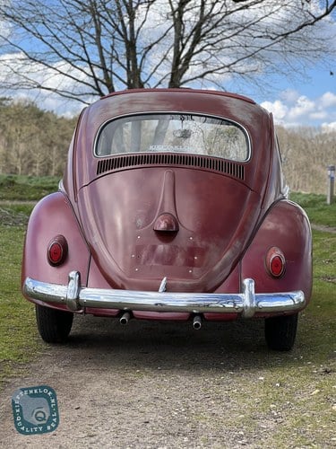 1959 Volkswagen Beetle - 5